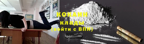 соль ск Арсеньев