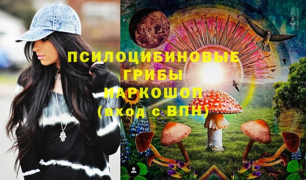 МДПВ Армянск