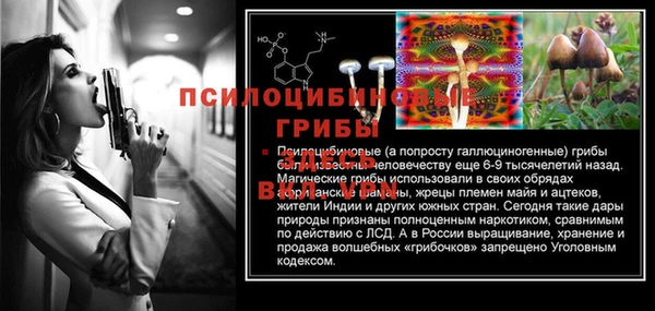 гидра Аркадак
