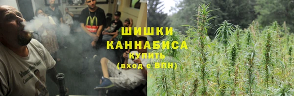 ПСИЛОЦИБИНОВЫЕ ГРИБЫ Баксан